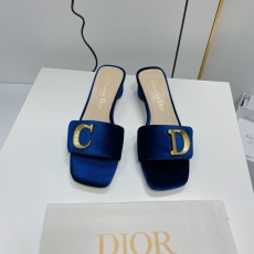 Christian Dior Slippers